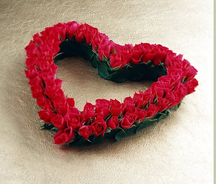 Bunga-cinta-qt – Cinta Dari Hati